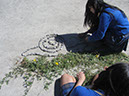 IMG_0805