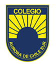 Logo  CACHS copia